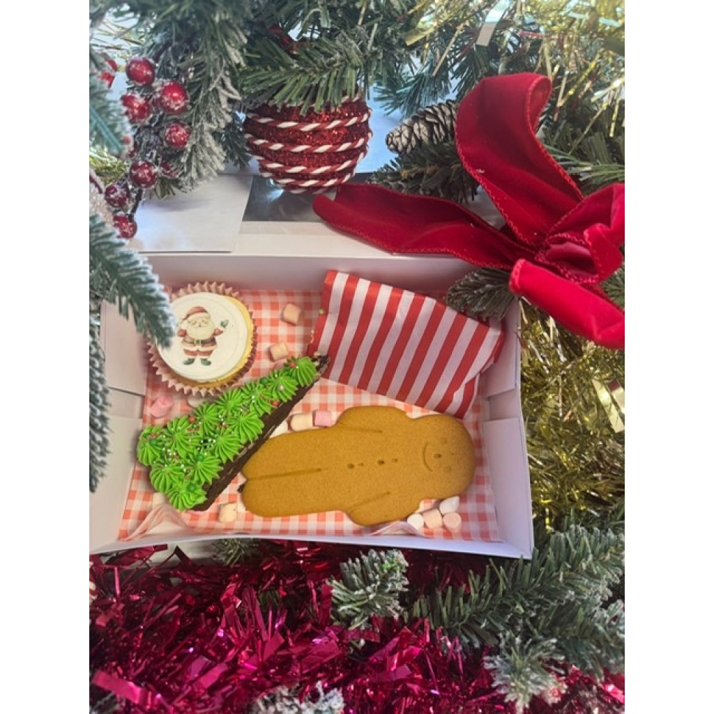 Christmas Treat Box