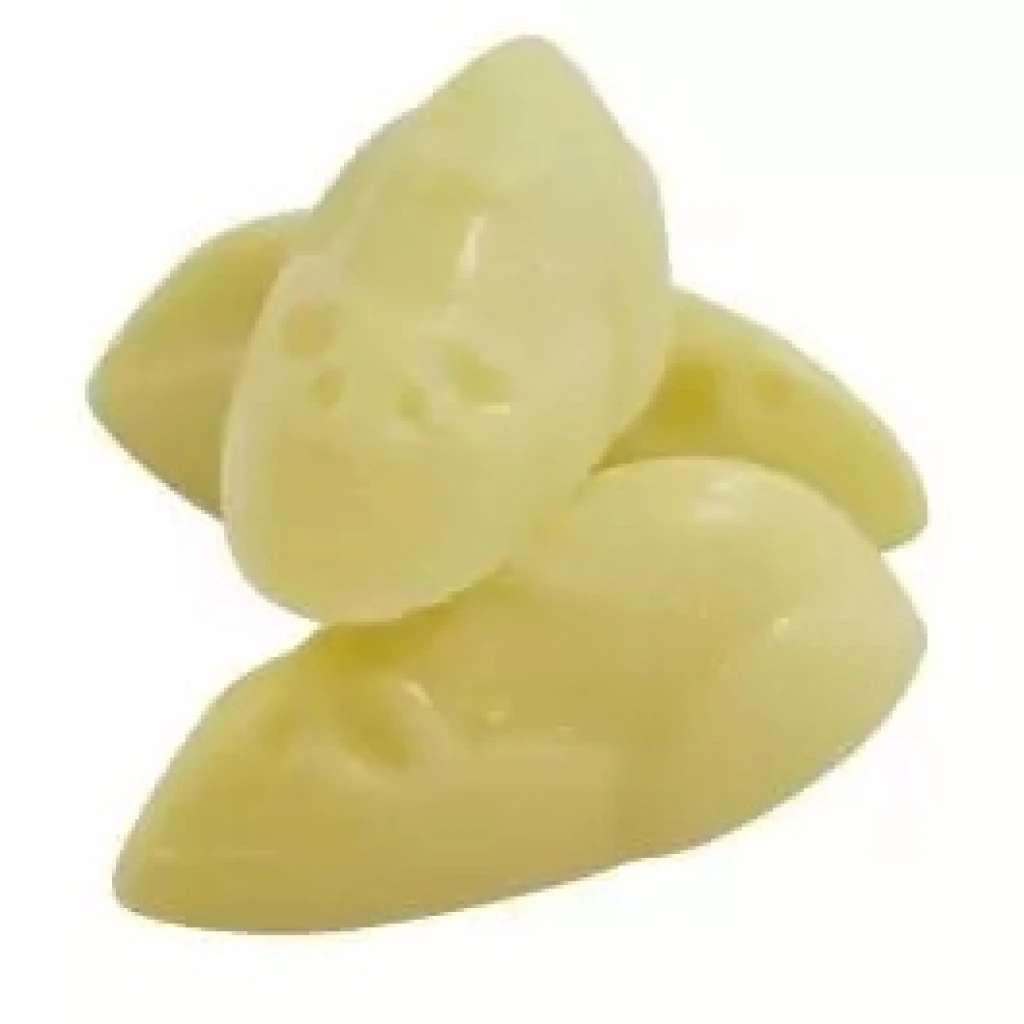 Hannah s White Mice