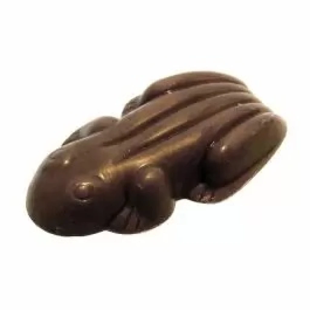 Hannah s Chocolate Frogs