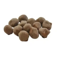 Kingsway Chewing Nuts